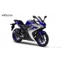 YZF-R25