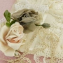 ★10%OFF Sale, 8/15まで!