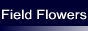 Field flowers(フィールドフラワーズ)