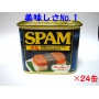 減塩SPAM24缶セット