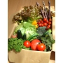 旬の野菜詰め合わせ「野菜ボックス」