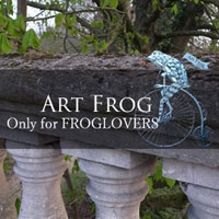Art Frog